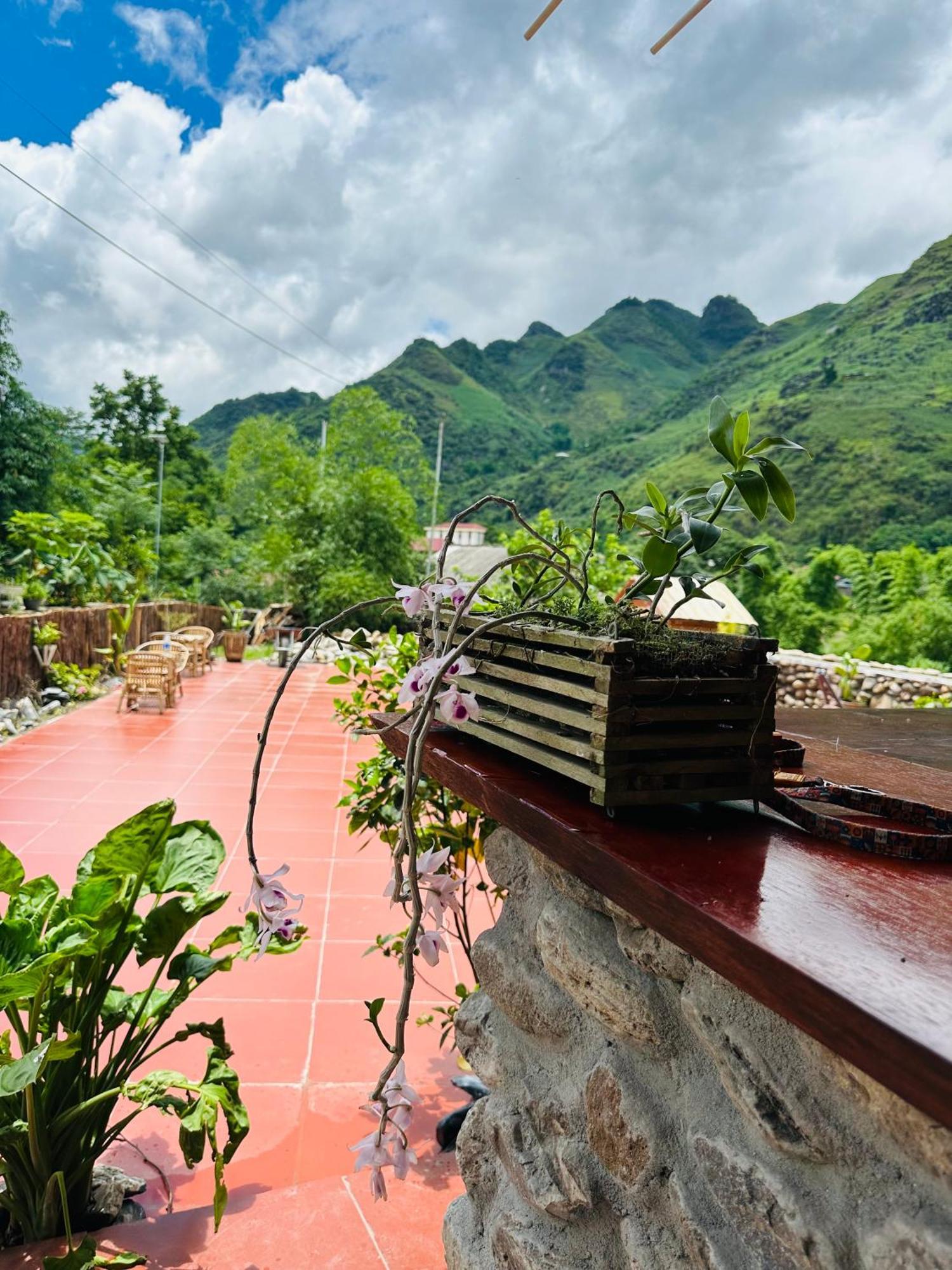 Wild Orchid- Lan Home Lang Cac Exterior photo